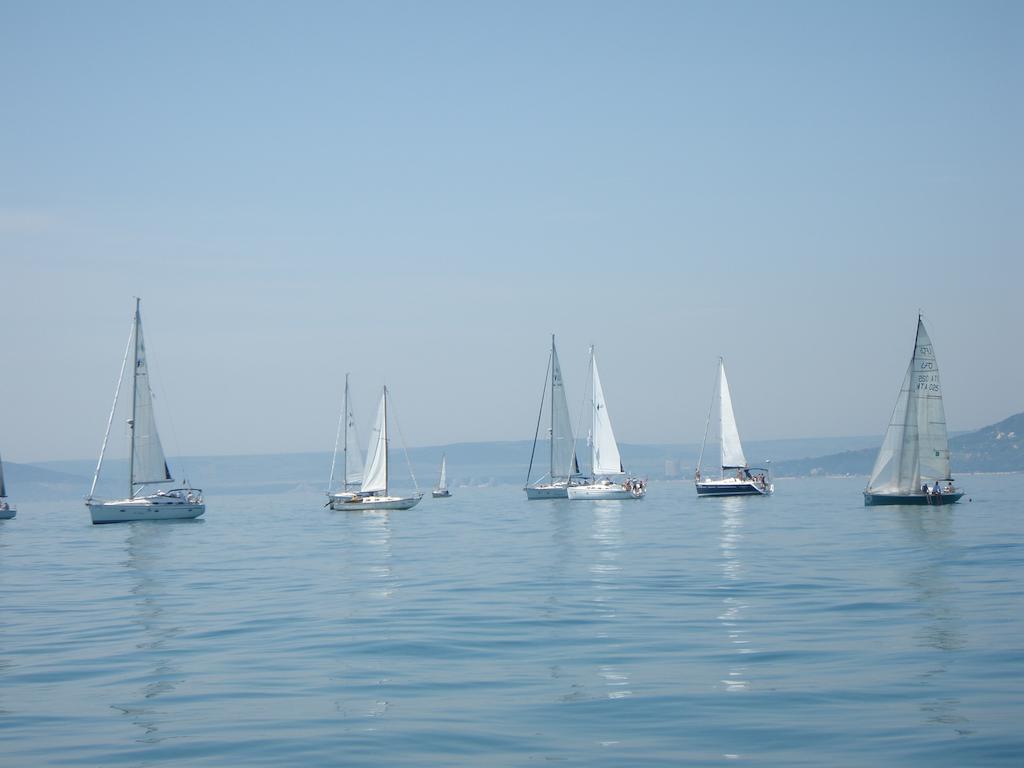 Vilele Soarelui Neptun Buitenkant foto
